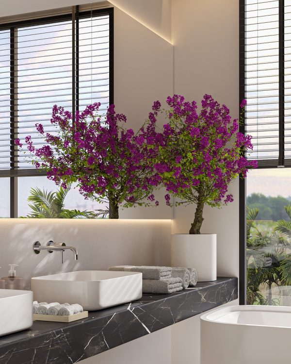 Marci Complex — Interior | luup.design